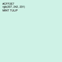#CFF2E7 - Mint Tulip Color Image